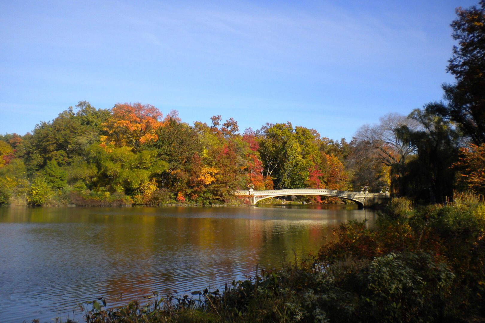 bow bridge central park