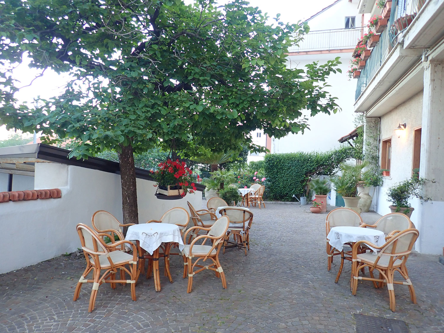 eco green accommodation