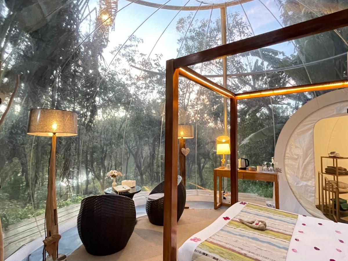 bubble lodge eco hotel mauritius