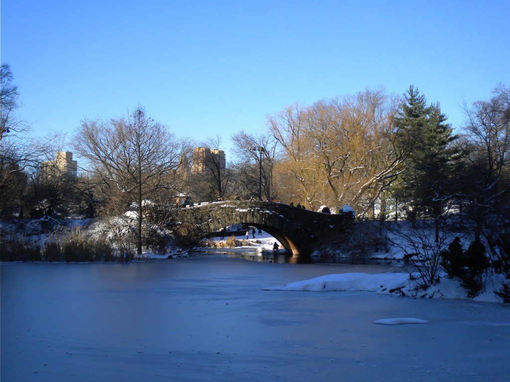 best things to do in new york