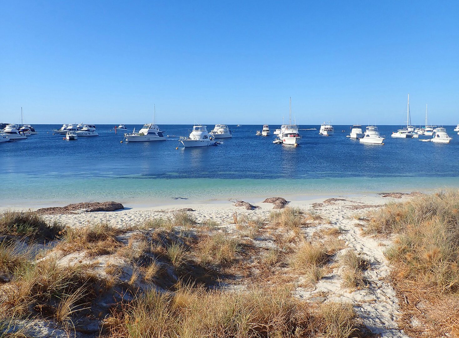 what to do on rottnest island