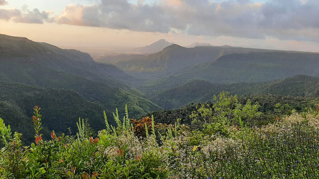 Black River Gorges viewpoint mauritius