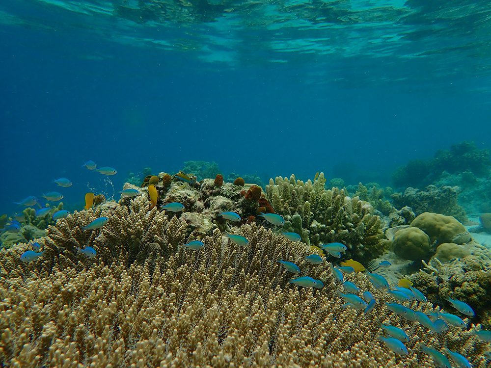 facts about malaysia