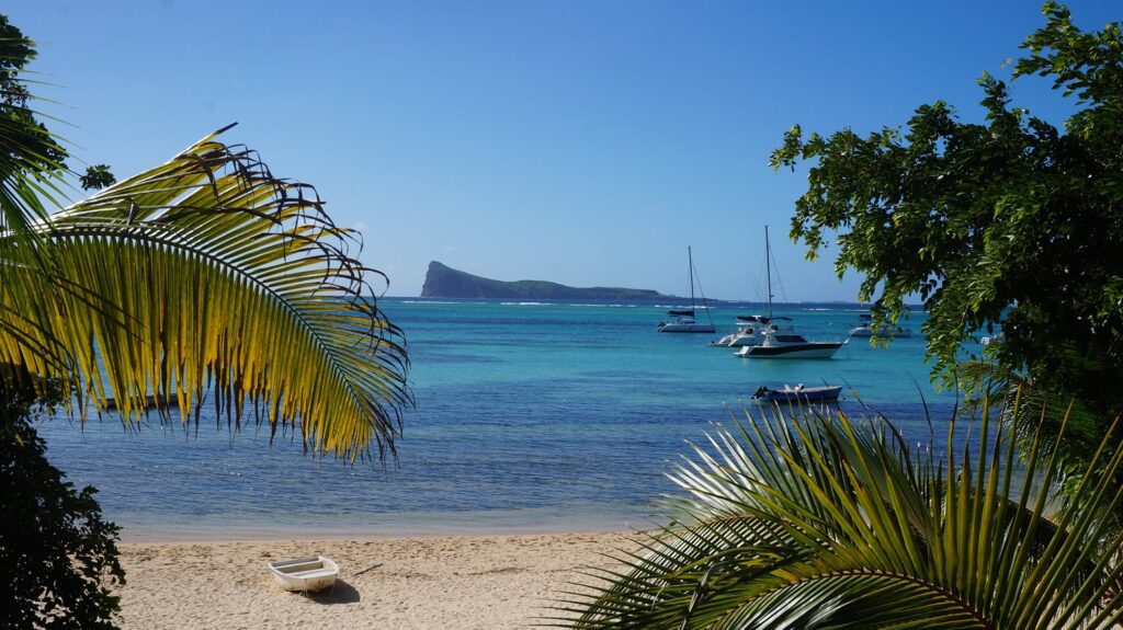 bain boeuf mauritius