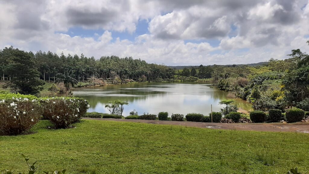 bois cheri mauritius