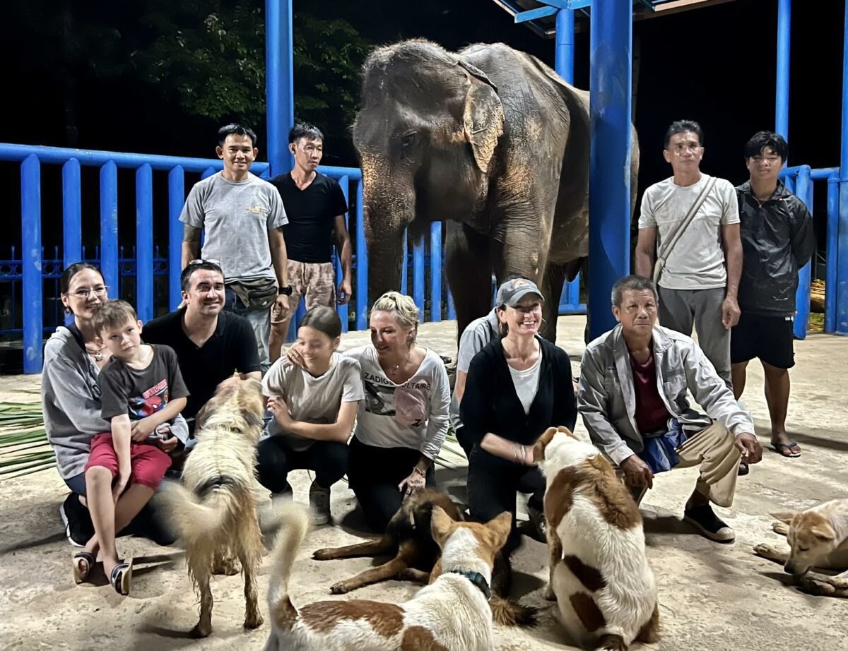 kanoon the rescued elephant