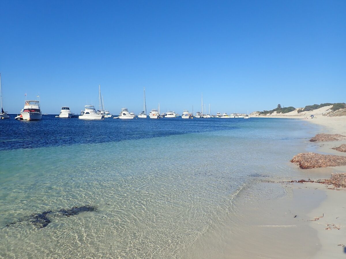 what to do on rottnest island