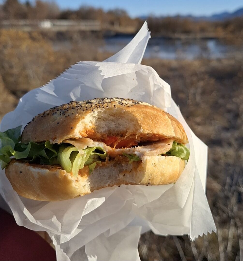 sandwich in golden circle in iceland