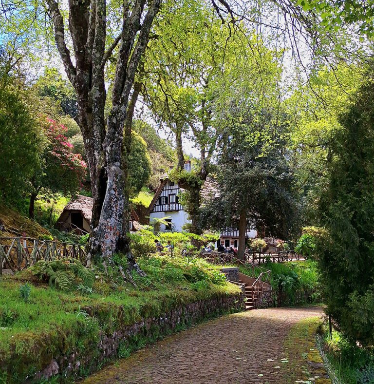 Queimadas Forestry Park hike