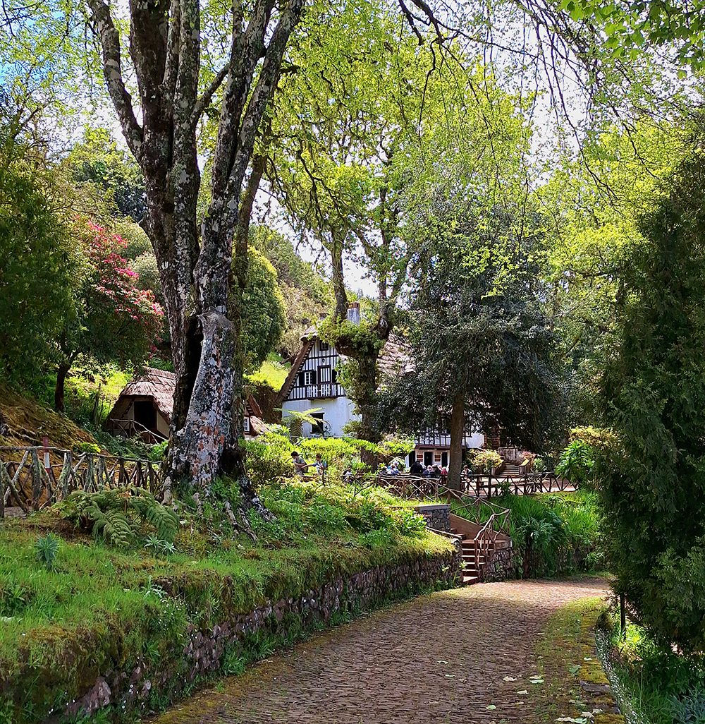 Queimadas Forestry Park hike
