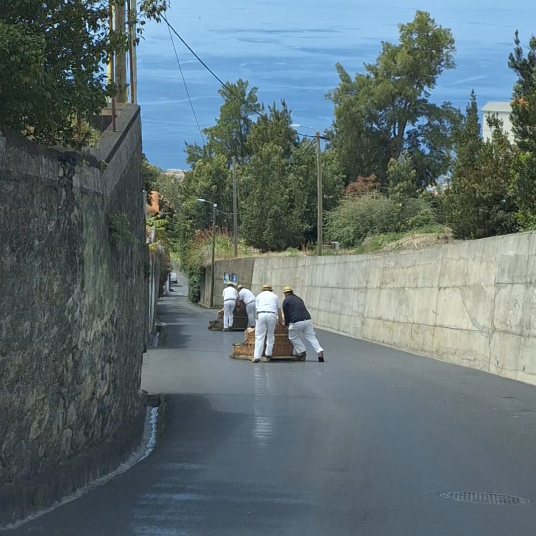 Toboggan rides (wicker baskets)