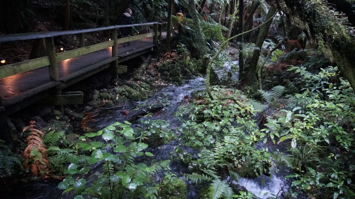 hot springs in rotorua at Mitai Māori village