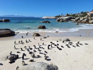 facts about south africa
