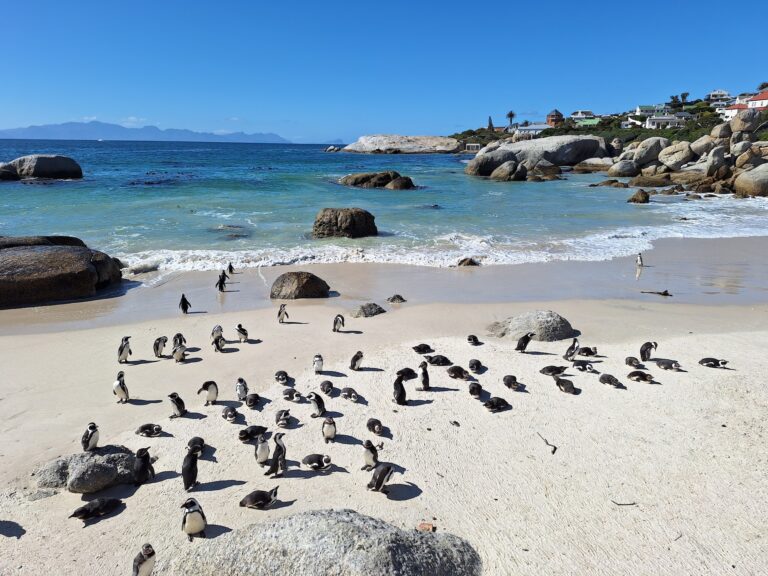 facts about south africa