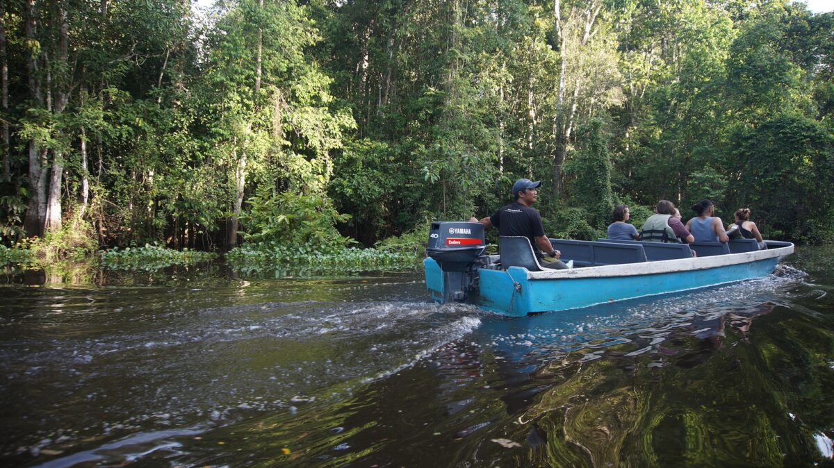 Kinabatangan river boat ride in sabah