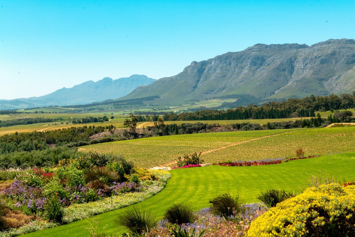 stellenbosch wine tasting cape town